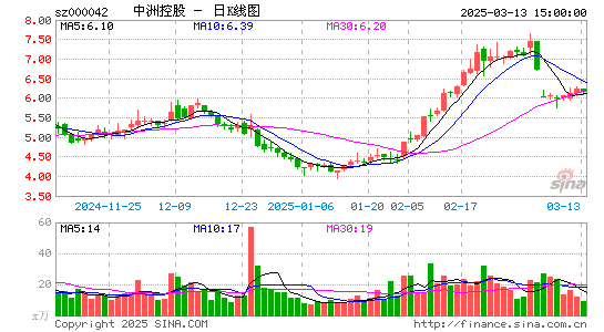 中洲控股