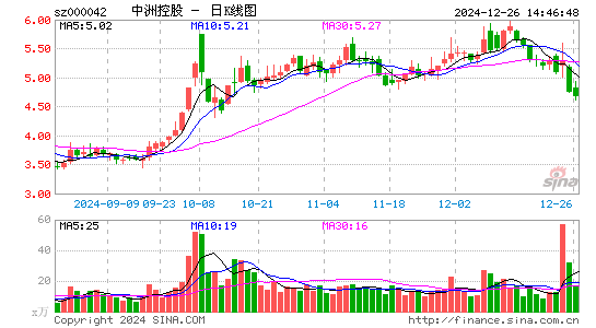 中洲控股