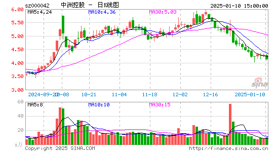 中洲控股