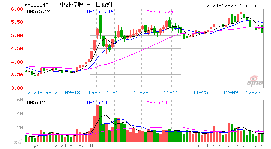 中洲控股