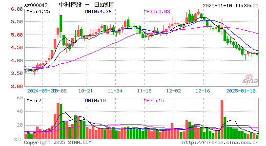 中洲控股