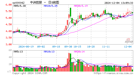 中洲控股