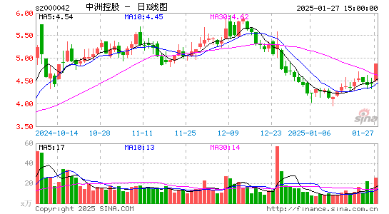 中洲控股