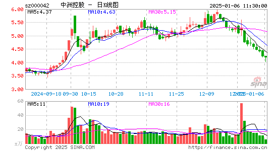 中洲控股