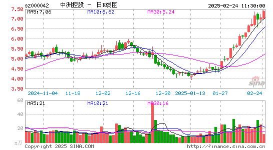 中洲控股