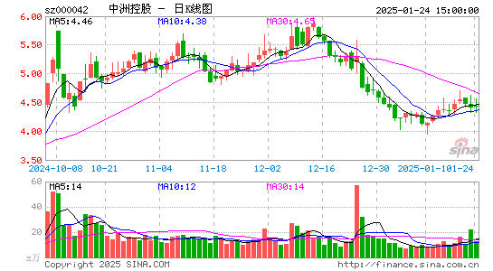 中洲控股