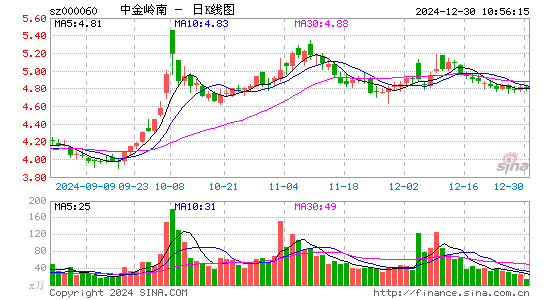 中金岭南