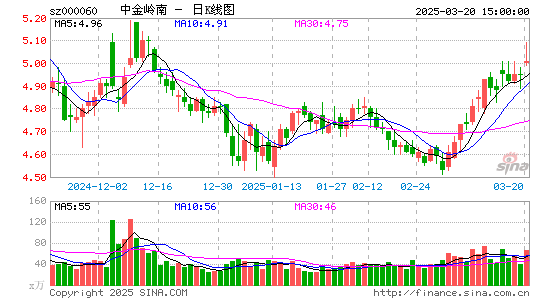 中金岭南