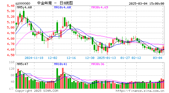 中金岭南