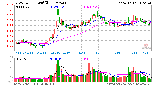 中金岭南