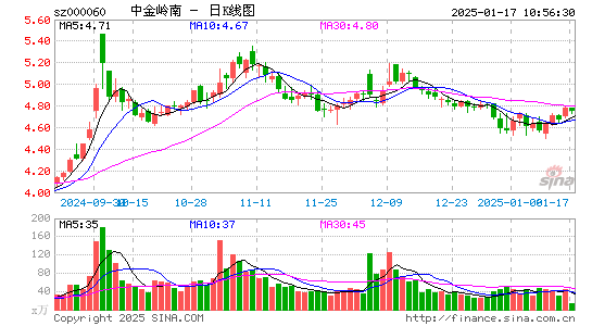 中金岭南