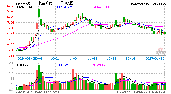 中金岭南