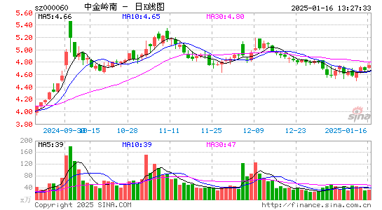 中金岭南