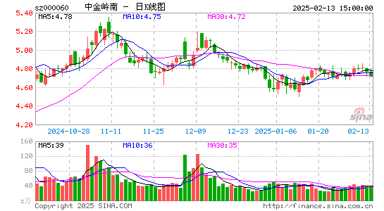 中金岭南