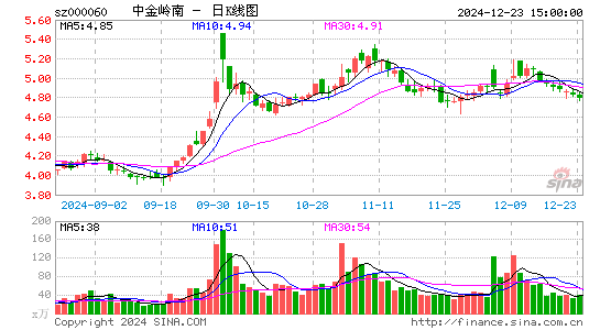 中金岭南