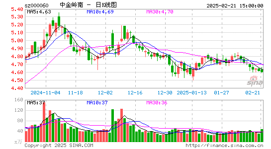 中金岭南