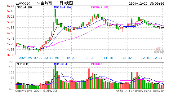 中金岭南