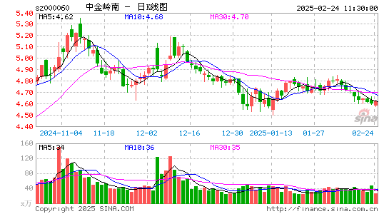 中金岭南