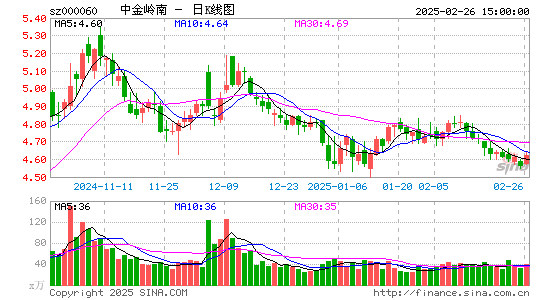 中金岭南