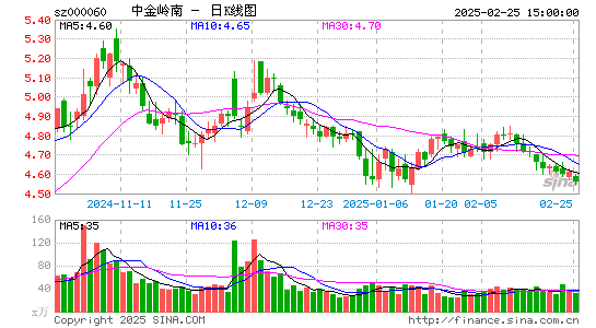 中金岭南