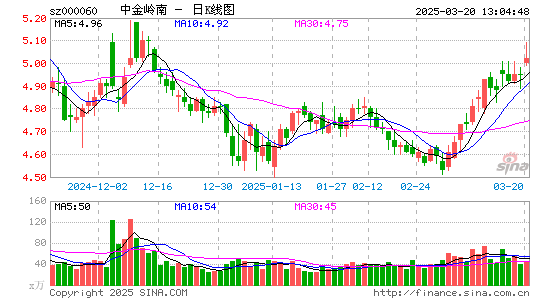 中金岭南