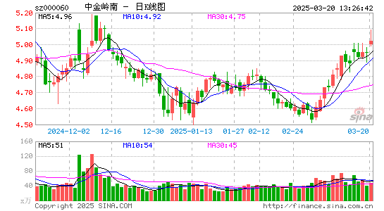 中金岭南