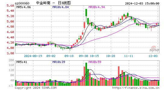 中金岭南