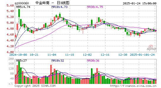 中金岭南