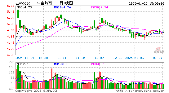 中金岭南