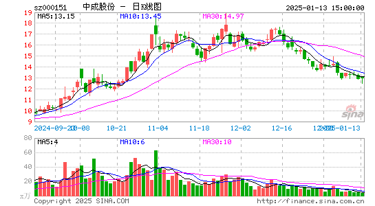 中成股份