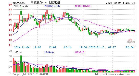 中成股份