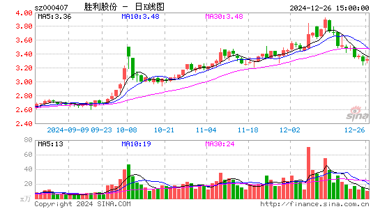 胜利股份