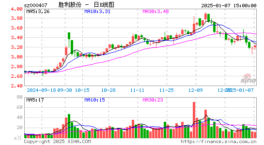 胜利股份