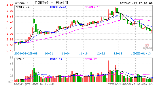 胜利股份