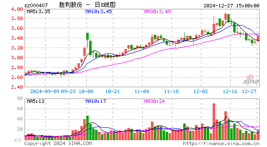 胜利股份