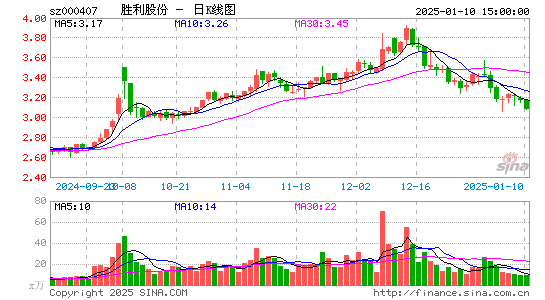 胜利股份