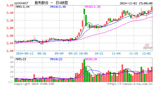 胜利股份