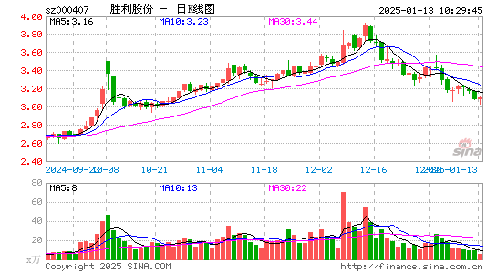 胜利股份