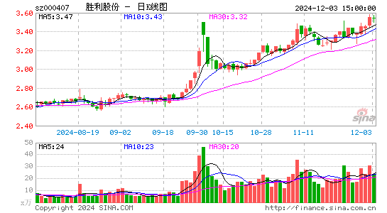 胜利股份