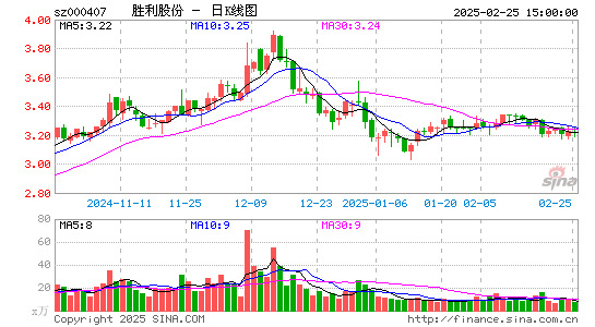 胜利股份