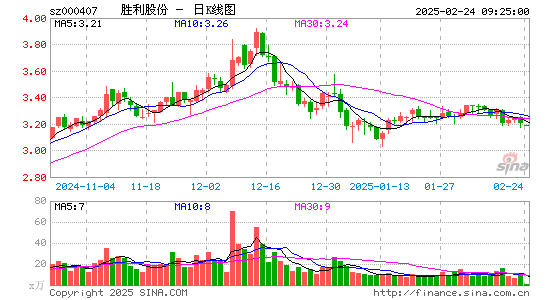 胜利股份