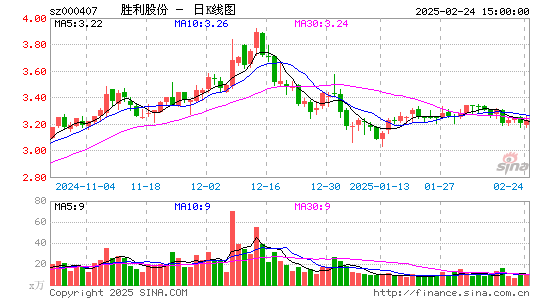 胜利股份