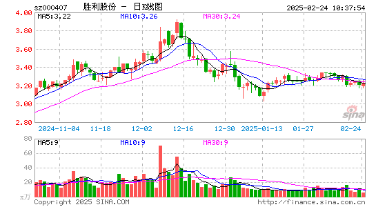 胜利股份