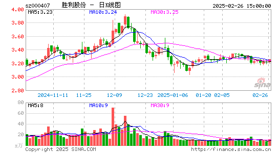 胜利股份