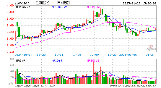 胜利股份