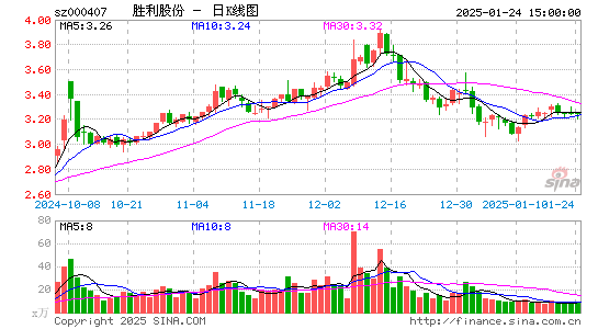 胜利股份