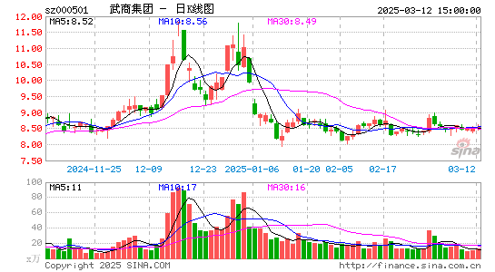 武商集团