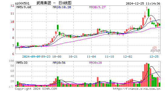 武商集团