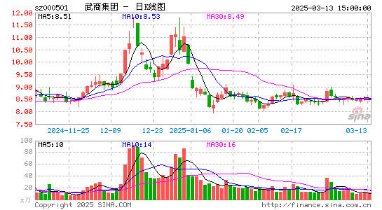 武商集团