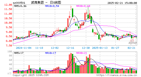 武商集团